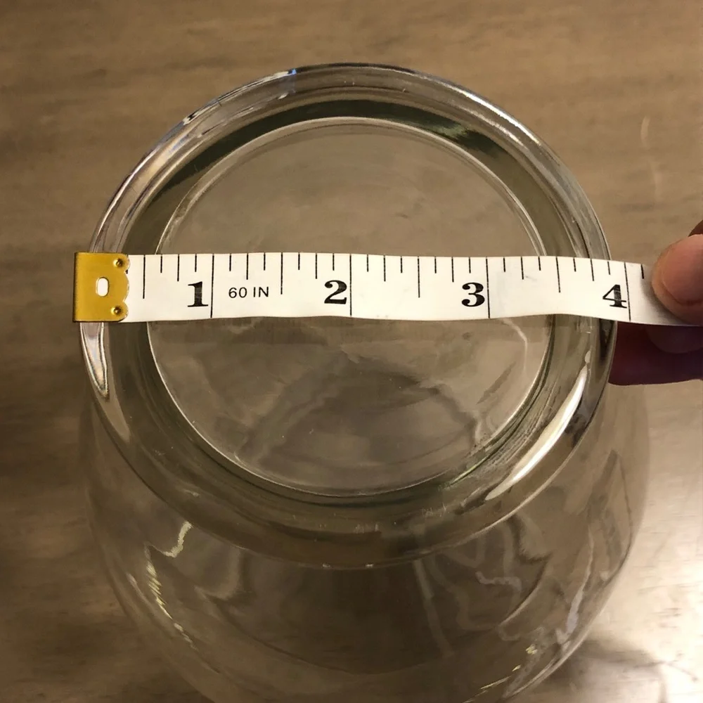 Elegant Clear Glass Flower Vase